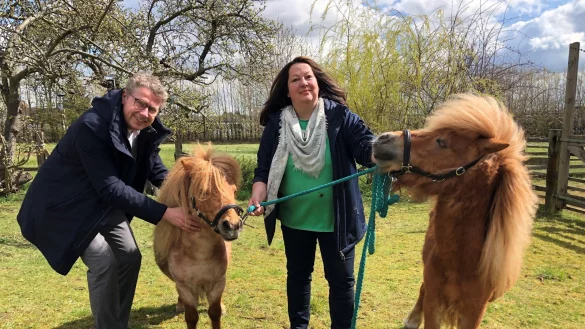Robert Horstbrink und Sabine Mirbach stehen mit den Ponys &bdquo;Artus" und &bdquo;Lancelot" auf einer Weide.&nbsp; - &copy; Sven Kinescherf