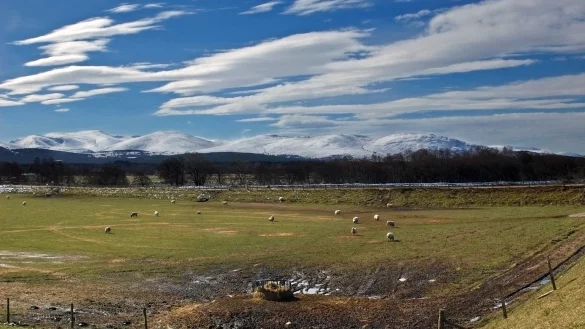Grantown-on-Spey - &copy; Foto: Andreas Heimann/tmn/dpa/Archiv