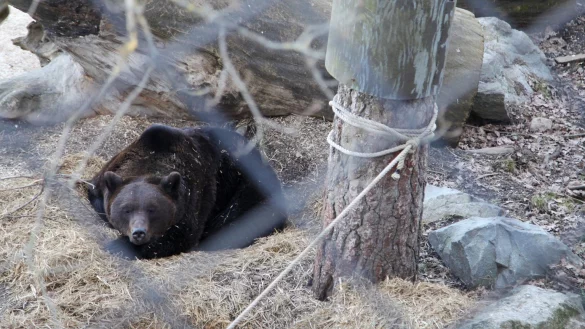 Freilichtmuseum Skansen in Stockholm - &copy; Foto: Steffen Trumpf/dpa