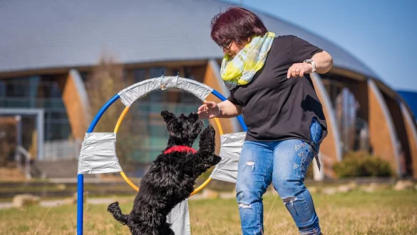 &laquo;Reifensprung&raquo; f&uuml;r Hunde - &copy; Foto: Moritz Frankenberg/dpa