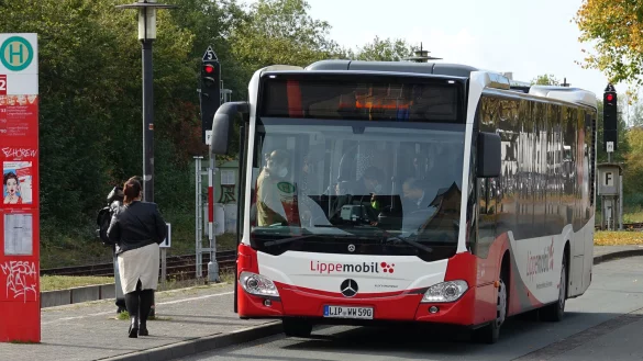 Die KVG-Busse fahren nicht alle Haltestellen an. - &copy; Archivfoto: Axel B&uuml;rger