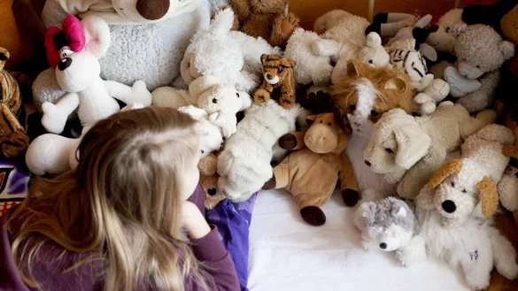 Kuscheltiere - &copy; Foto: Silvia Marks/dpa Themendienst/dpa-tmn