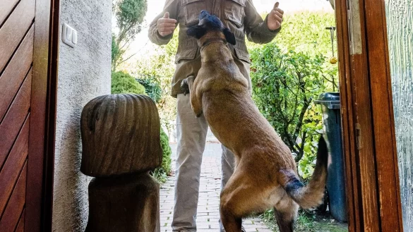 Nervige Angewohnheit - &copy; Foto: Markus Scholz/dpa-tmn