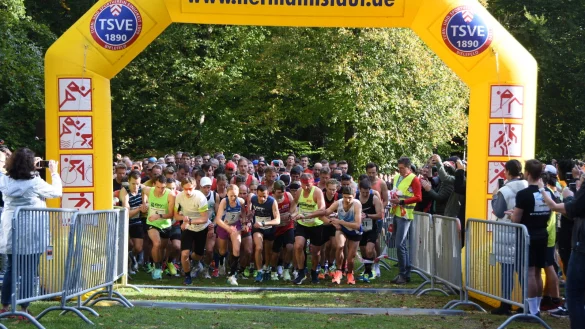 So sah es der Start der Gruppe A 2021 aus - da fand der Lauf allerdings ausnahmsweise im Herbst statt. - © Archivfoto: Raphael Bartling