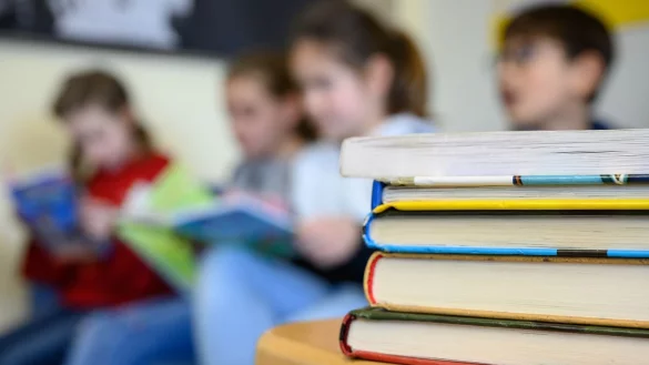 Lesekompetenz - &copy; Foto: Sebastian Gollnow/dpa