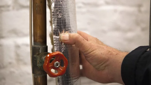 - &copy; Silvia Marks/dpa-tmn