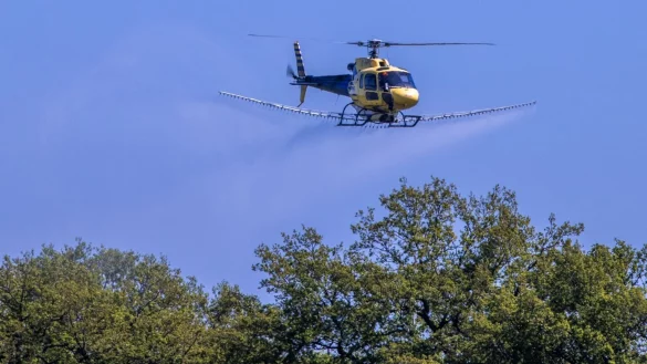 Helikopter mit Insektizid - &copy; Foto: Jens B&uuml;ttner/dpa-Zentralbild/dpa