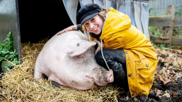 Schwein Rosalie lebt saugl&uuml;cklich in Ostfriesland - &copy; Foto: Hauke-Christian Dittrich/dpa