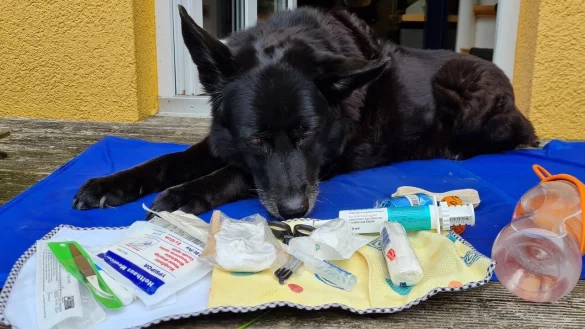 Zeckenzange, Verbandsmaterial, K&uuml;hlmatte: "Laikas" Frauchen hat f&uuml;r den Urlaub alles dabei. - &copy; Marianne Schwarzer