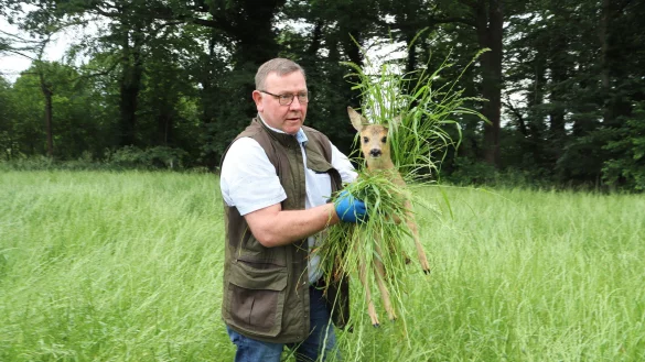 Gerettet: Tassilo Marowsky vom Hegering Versmold greift das Rehkitz mit Handschuhen und Gras, damit der Menschenduft nicht an dem Tier haftet. - &copy; Mareike Gr&ouml;neweg