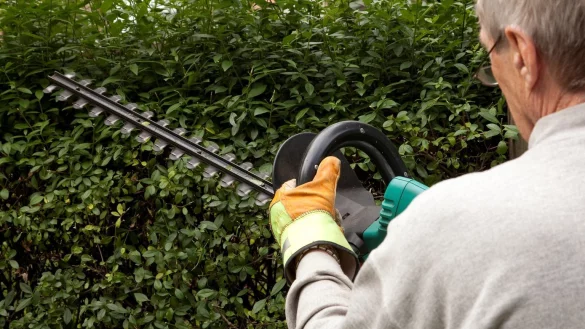 Heckenschnitt - &copy; Foto: Kai Remmers