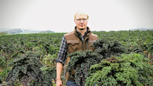 Ein seltener Anblick: Biobauer Jan Fleischfresser inmitten seiner
Lippischen Palmen. Da diese alte Hofsorte unregelm&auml;&szlig;ig w&auml;chst, m&uuml;ssen
die Bl&auml;tter von Hand geerntet werden. In unmittelbarer N&auml;he liegen die
Rhabarber-Felder des 31-J&auml;hrigen. - &copy; Anke Groenewold