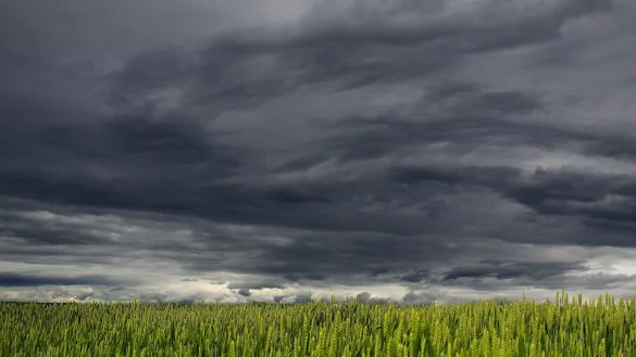 Dunkle Wolken schieben sich auch &uuml;ber den lippischen Himmel. - &copy; Symbolfoto: Pixabay