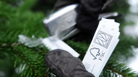 &Ouml;kob&auml;ume f&uuml;r Weihnachten - &copy; Foto: Angelika Warmuth/dpa