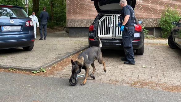 Bei den Durchsuchungen in M&uuml;nster ist dieser Datensp&uuml;rhund f&uuml;ndig geworden. - &copy; Martin Krause