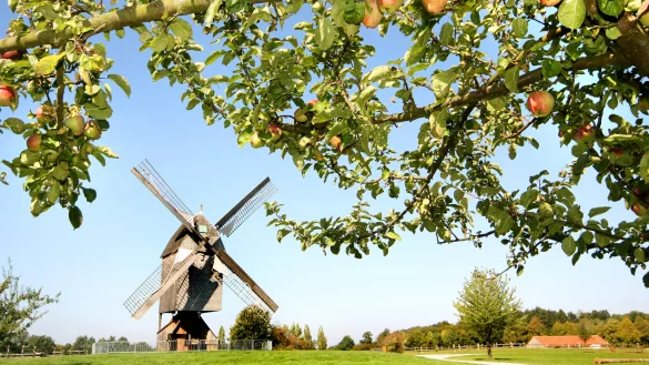 Für die Umbenennung des LWL-Freilichtmuseums in Detmold haben auch LZ-Leser einige Ideen. - © LWL/Robin Jähne