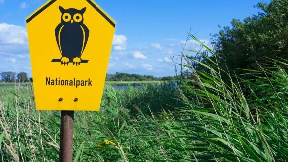 Im Rennen um einen zweiten Nationalpark galt die Region OWL als Favorit. Doch Politik und B&uuml;rger stimmten dagegen. Das Projekt droht in NRW zu scheitern. - &copy; imago images/IlluPics