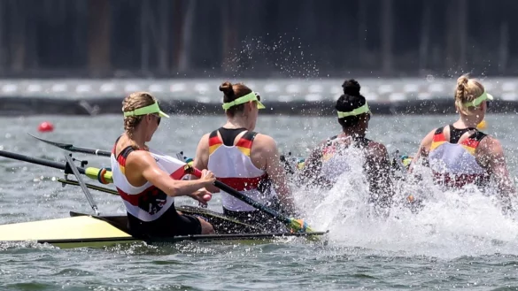 Krebs - &copy; Foto: Jan Woitas/dpa-Zentralbild/dpa