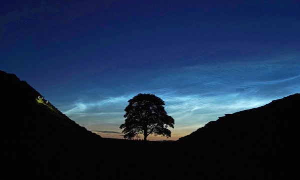 Der Sycamore Gap Tree in England war einst ein beliebtes Fotomotiv. (Archivfoto) - © Owen Humphreys/PA Wire/dpa