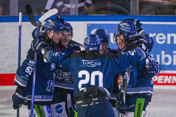 Die Straubing Tigers komplettieren das DEL-Halbfinale. - © Armin Weigel/dpa