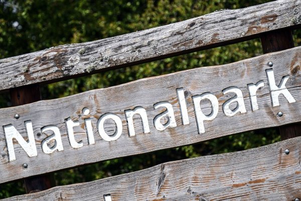 Bei der Suche nach einem zweiten Nationalpark in Nordrhein-Westfalen hat die schwarz-grüne Regierungskoalition aus Sicht der Opposition widerstrebende Interessen verfolgt. (Archivbild) - © Federico Gambarini/dpa