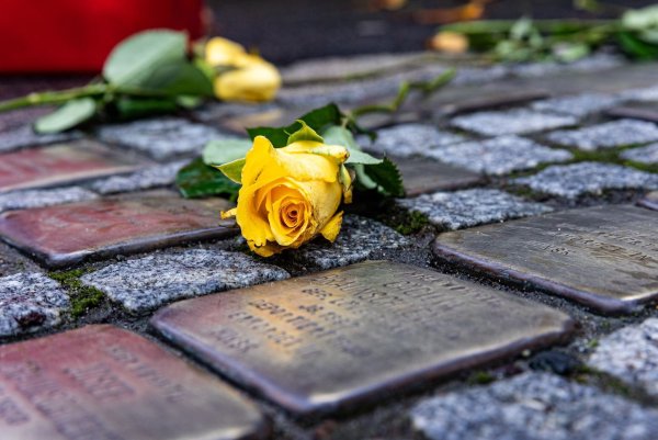 Nach dem Diebstahl aller zehn "Stolpersteine" in der Stadt Zeitz sind bereits Tausende Euro Spenden geflossen. (Archivbild) - © Sascha Lotz/dpa