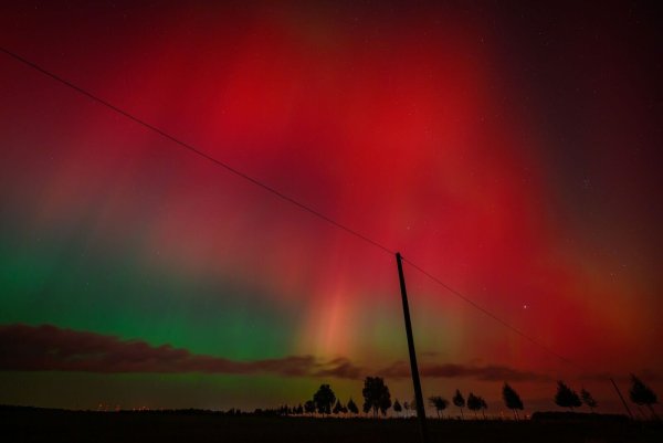 Über Brandenburg leuchtete der Himmel in der Nacht zu Freitag in bunten Farben. - © Patrick Pleul/dpa