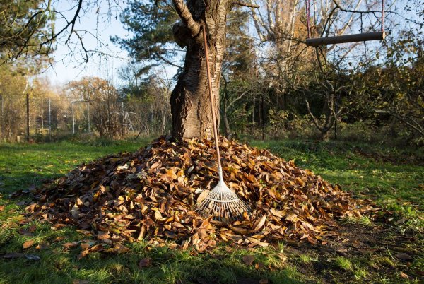 Laubberge im Garten können vielen Tieren im Winter als Unterschlupf dienen. - © Florian Schuh/dpa-tmn