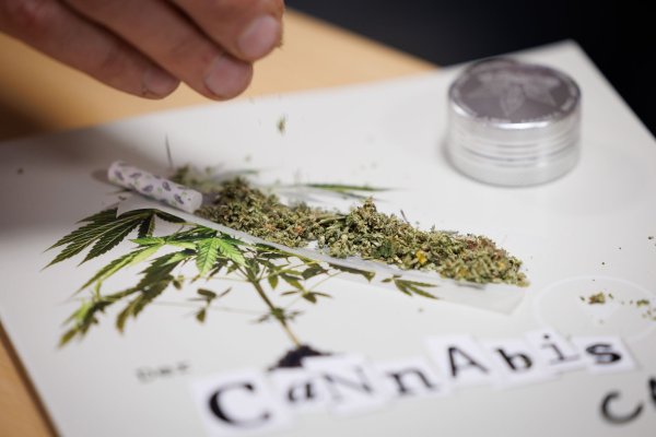 Seit 1. Juli können Erwachsene in nicht-kommerziellen «Anbauvereinigungen» Cannabis gemeinsam anbauen und untereinander zum Eigenkonsum abgeben. Zuvor müssen sie allerdings eine Erlaubnis beantragen. - © Friso Gentsch/dpa