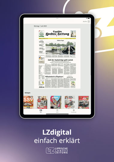 LZdigital einfach erklaert